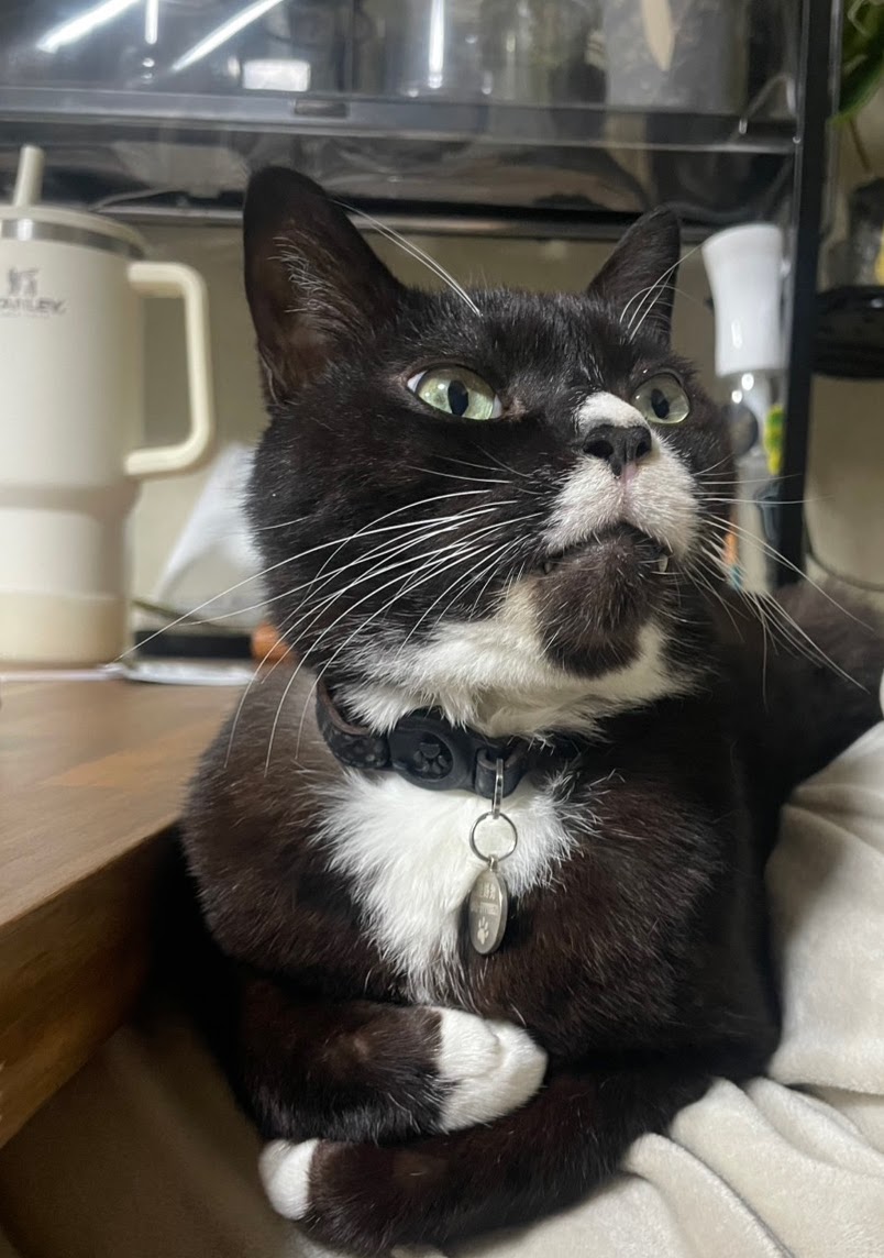 腕組み

「へぇ、そうなんだ」