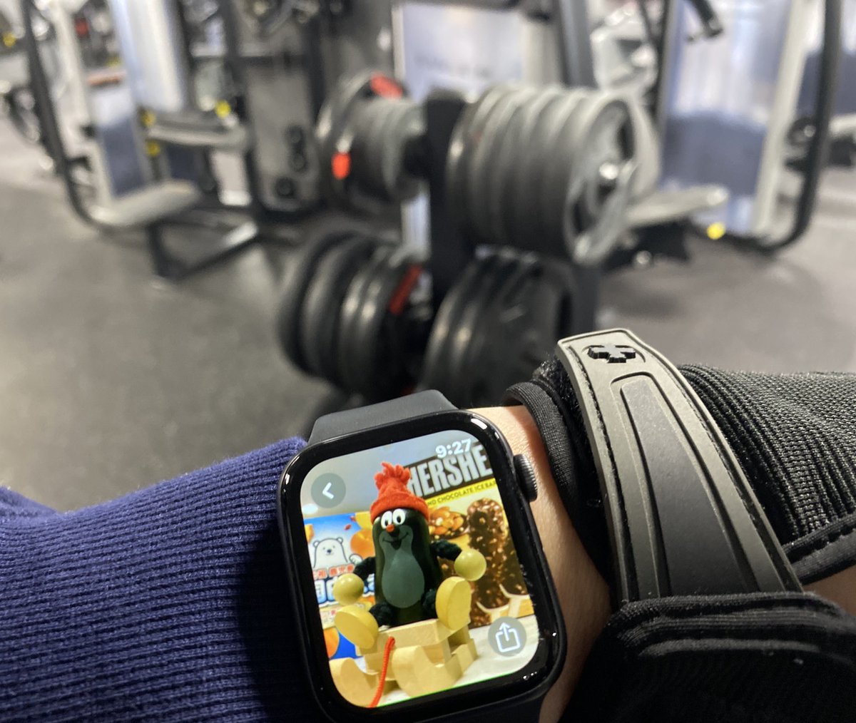 denkimogura123's tweet photo. もぐらのアサ勝
今朝はキッチリ起きてGymへGO！
日数空いてたけど調子良い感じ
久々にShowtekのlive聴きながらテンション上げるよ⤴️

衰える身体の現状維持から現状打破へ👍←まぁ 後で筋肉痛で泣くやつネ！

#筋トレ  #SHOWTEK https://t.co/V3RS9sdHJD