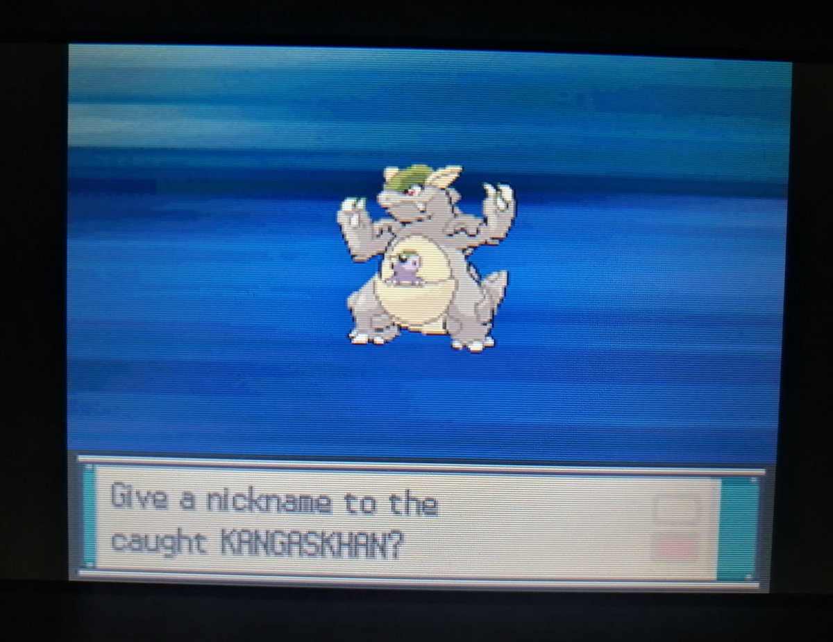 RedThg's tweet photo. Shiny kangaskhan ✨
Después de 7843 RE 
El primero del año.
#Shinypokemon https://t.co/8aqhS3PhTH