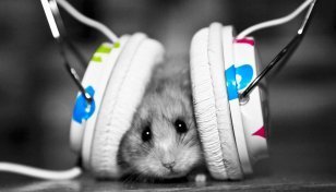 clubbeatstv's tweet photo. @kraz3d is now live! Tune in and join the chat! #Trance #trancefamily @Twitch #HYIS #livedjs #twitch #livestream https://t.co/jHwObQFTGc https://t.co/0o8y5zjvBj