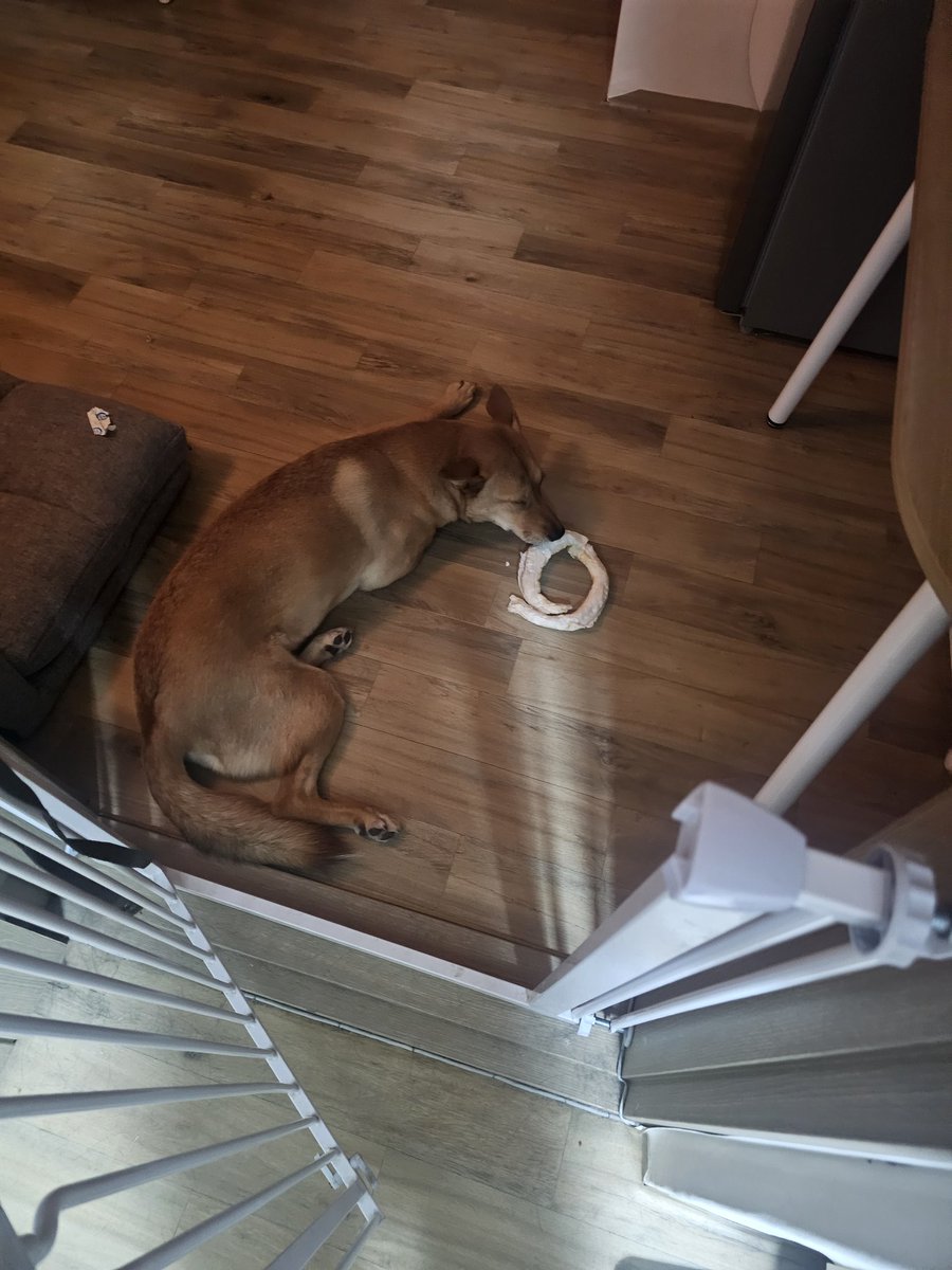 지키라고 준거아니구...먹으라고 준거라고...