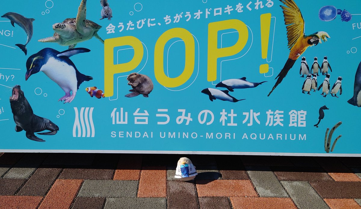 hikawa_p's tweet photo. 今回は別件の余り時間で行ったので手短に https://t.co/M8VzuhenYw