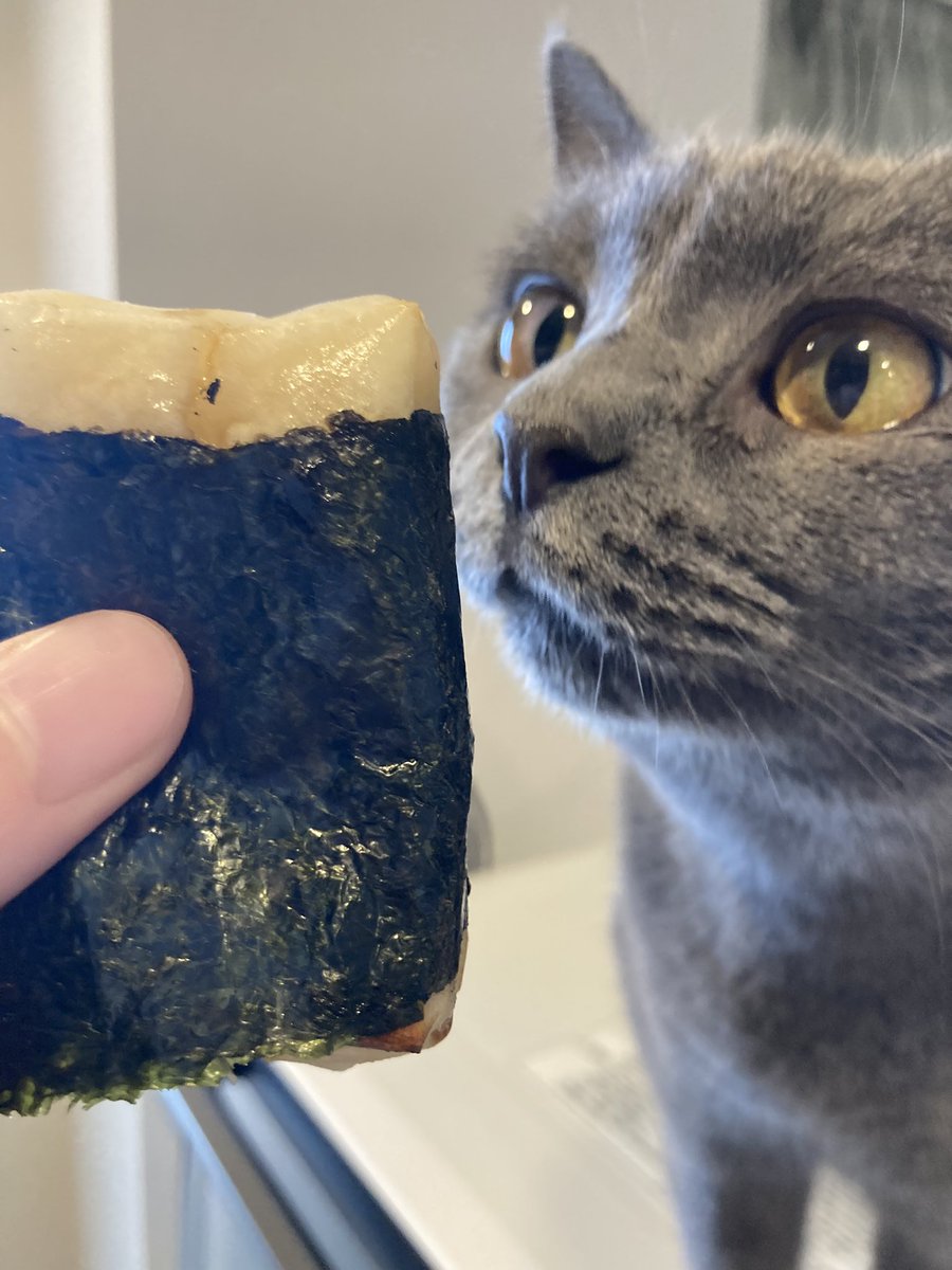 この醤油使って作る磯辺焼きが美味すぎなのでオススメです