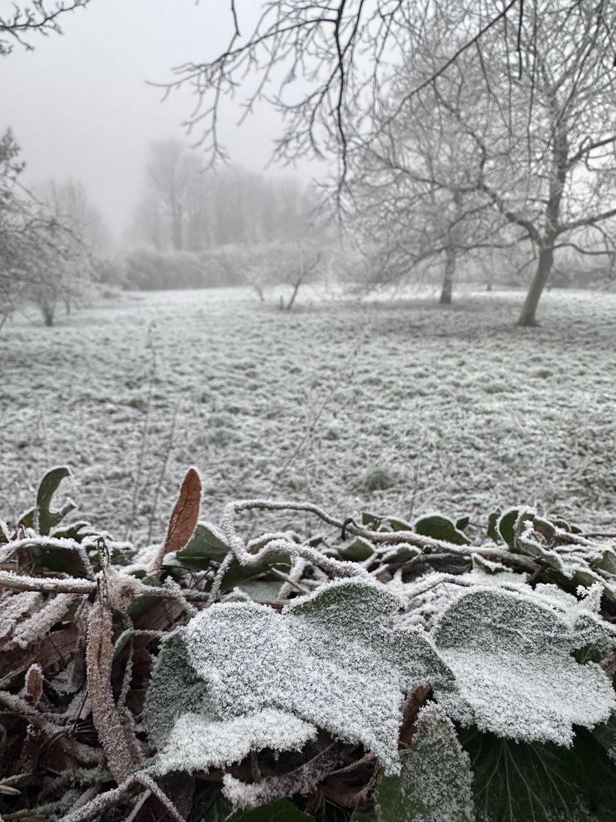 MaryamIsMe786's tweet photo. @OxTweets @witneygazette #loveukweather @oxford city https://t.co/cl1kv1f3EM