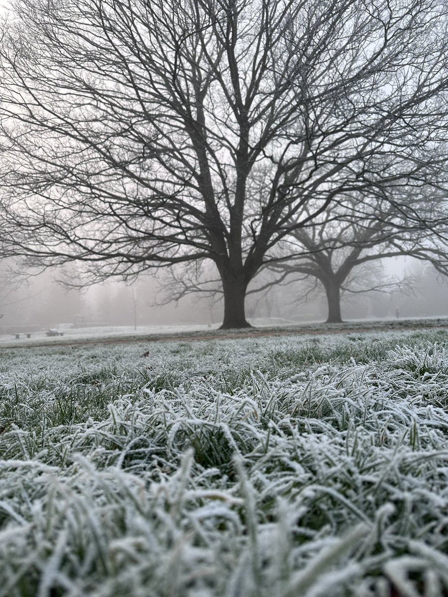 MaryamIsMe786's tweet photo. @OxTweets @witneygazette #loveukweather @oxford city https://t.co/cl1kv1f3EM