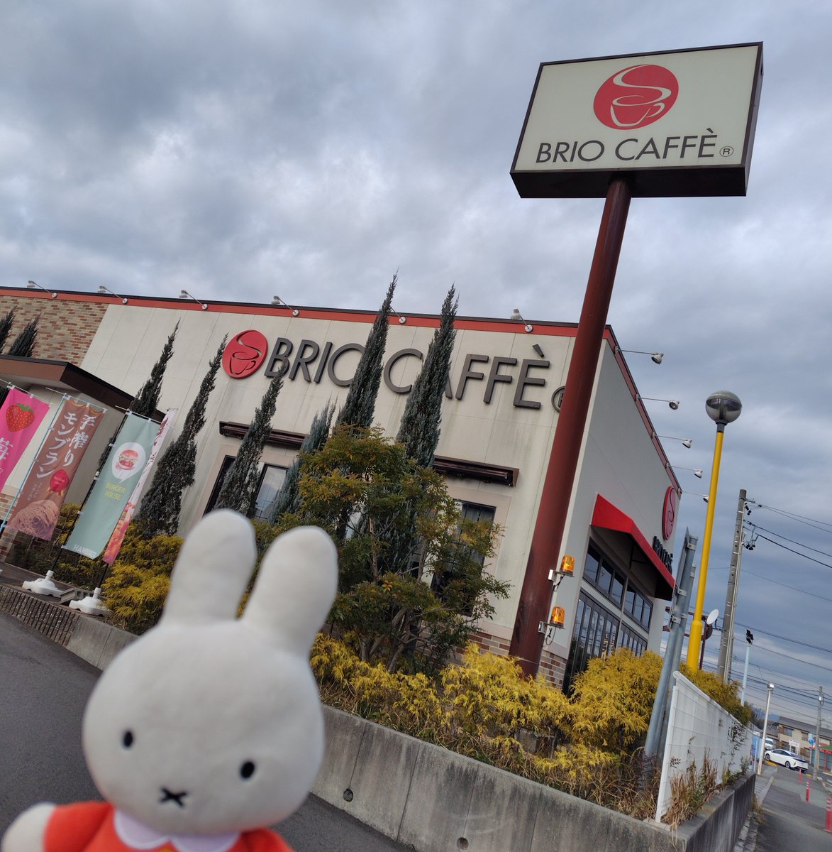 trans_american's tweet photo. 今年も、うさぎのサンデーモーニング続行(^o^;　今日は三重津市の、ブリオカフェにお邪魔してみた。すいてるのかと思ったら、朝から結構混んでる。パンケーキを頂きましたが、おいしく、食べごたえありました☆ごちそうさまっす https://t.co/dzAygZdF4j