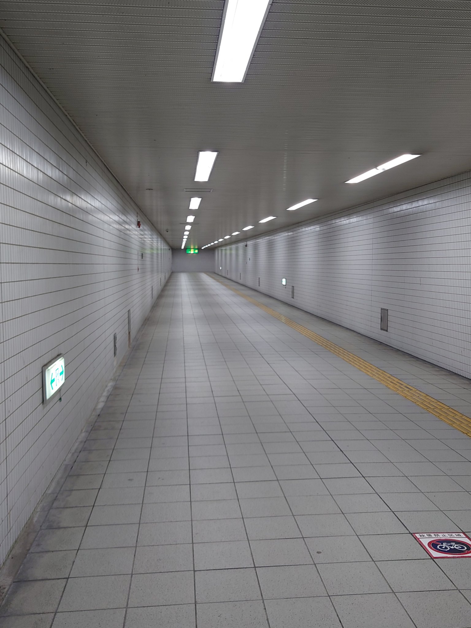 tanu-kitsu🌿🪘🪭 on X: 