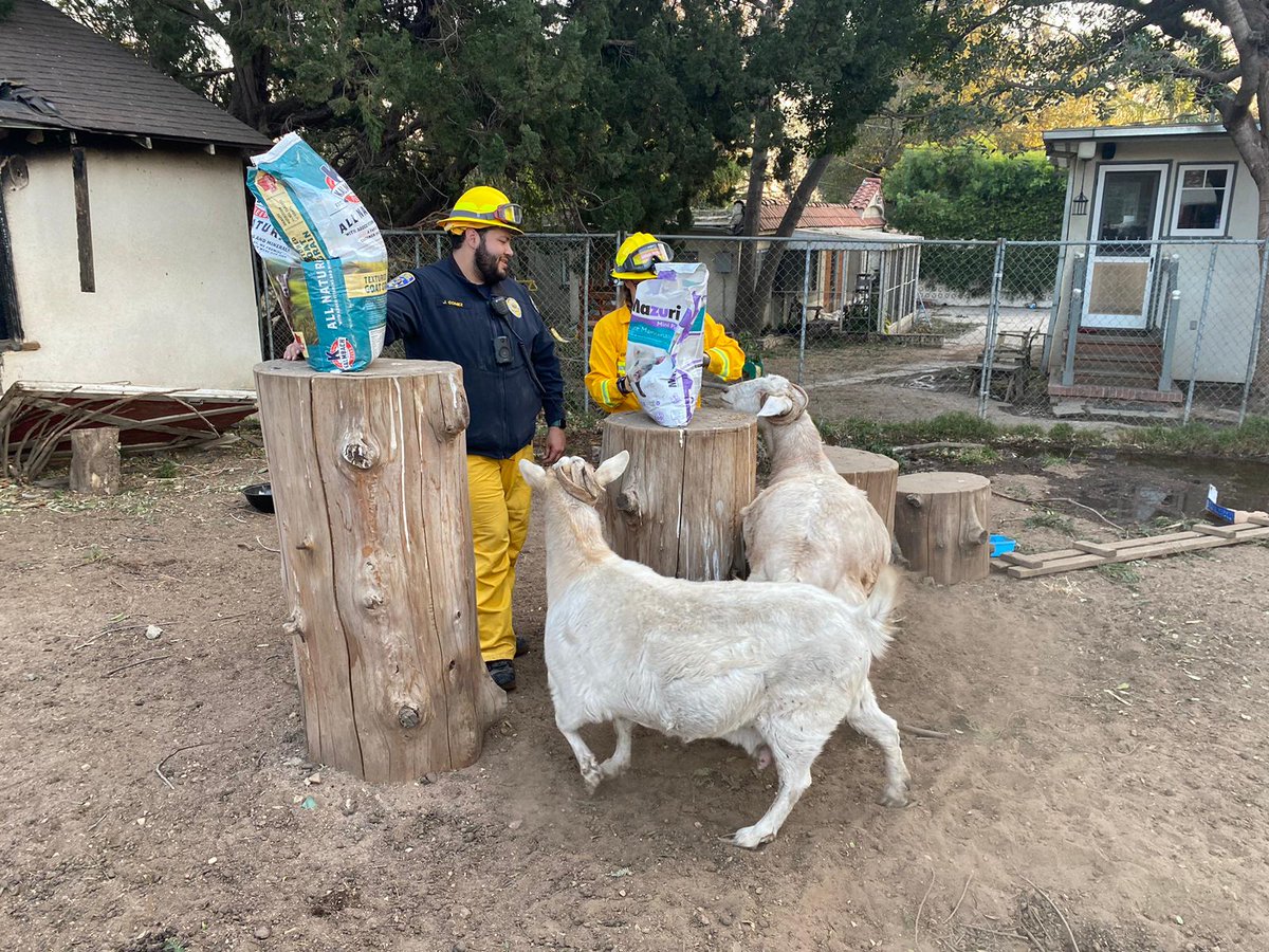 San Diego Humane Society tweet media