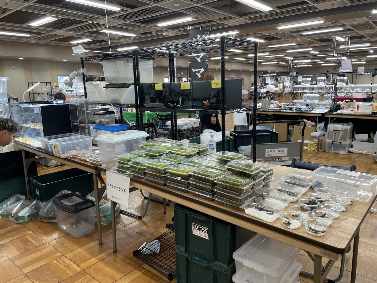 本日はアクアリウムバス浅草にてお待ちしております😊