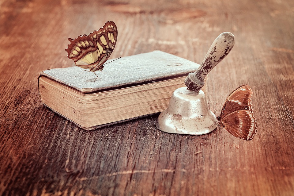 “If you don't have time to read, you don't have the time (or the tools) to write. Simple as that.” ― Stephen King  

#writing #writerslife