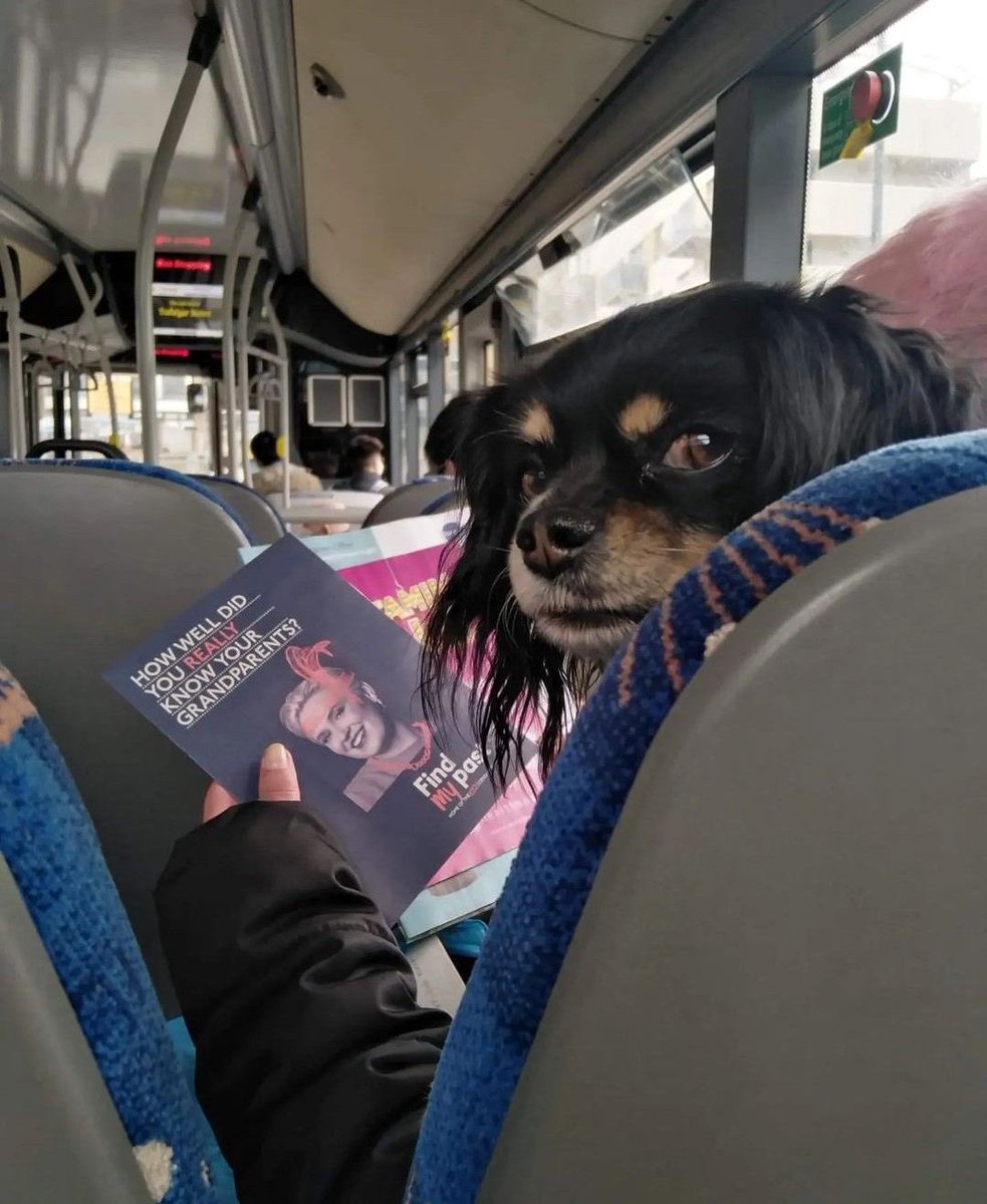 twaniimals's tweet photo. https://t.co/g6a0lGZFlg