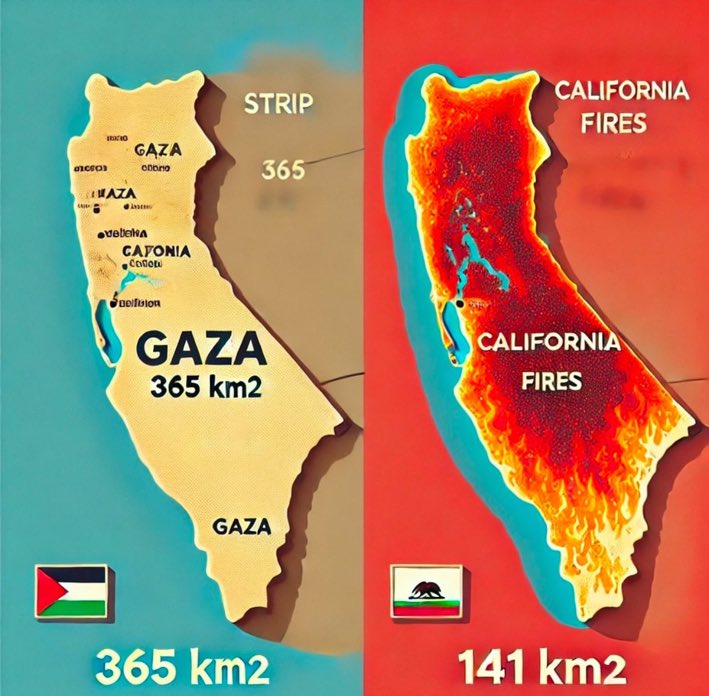 SilentlySirs's tweet image. Is this just a coincidence or a hidden message? May God forgive your silence about the suffering in #Gaza.
#CaliforniaWildfires