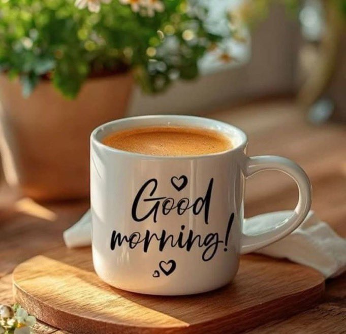 ClicksCele49489's tweet photo. Good morning 

X family 

Stay blessed https://t.co/g0o4isazYd