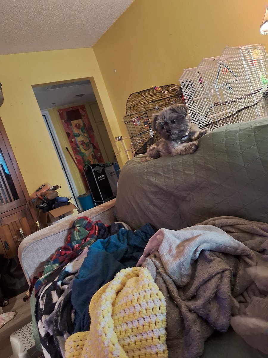 I believe Sascha is part cat.