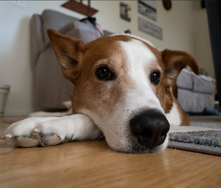 ThrowbackBound tweet media