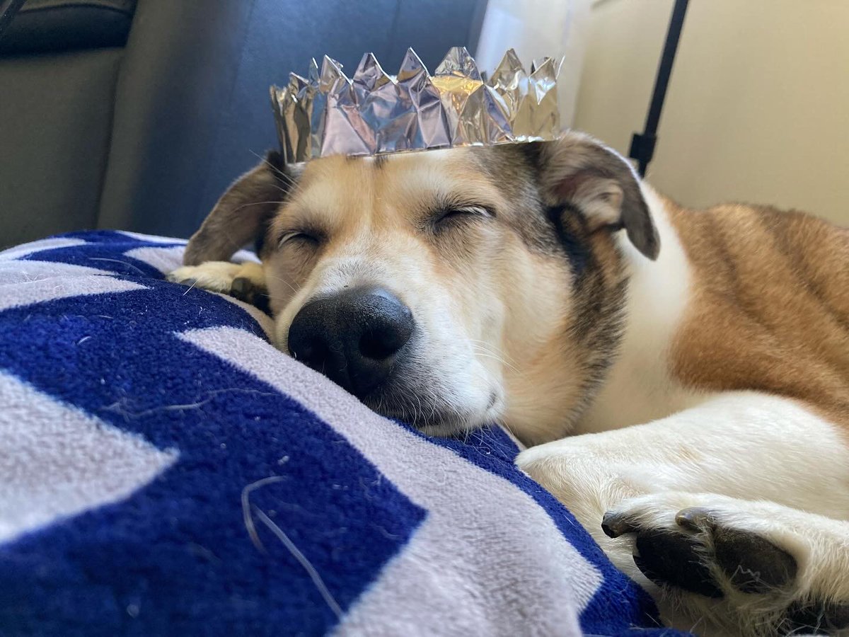 ThrowbackBound tweet media