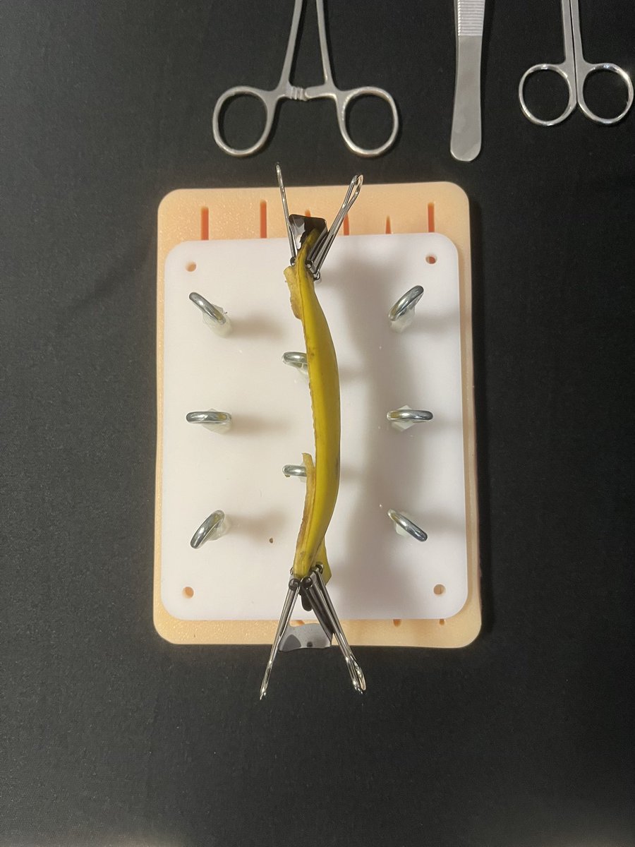 BBASS_skills's tweet photo. Low fidelity innovation on display at the Malaysia Surgical Students Society yesterday 🙏🥋👊- stitching banana skin, circumcision, episiotomy and rhomboid flaps 🙏🙏🙏 https://t.co/L8yjvPY0YN
