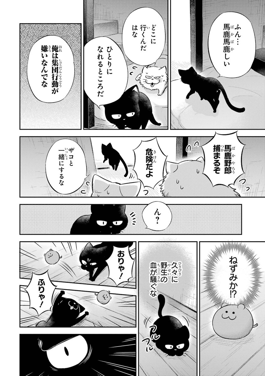 来客がくると姿を消す猫たち(4/7) 