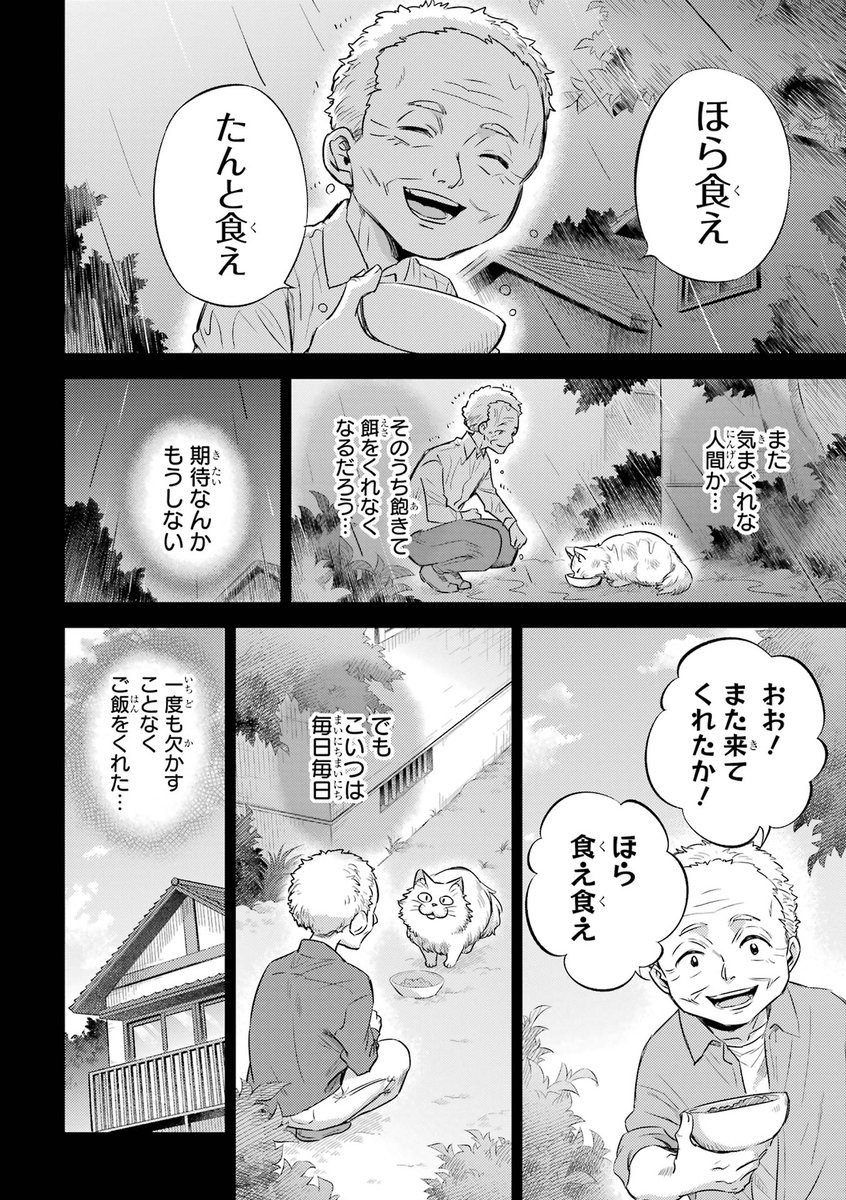 来客がくると姿を消す猫たち(6/7) 