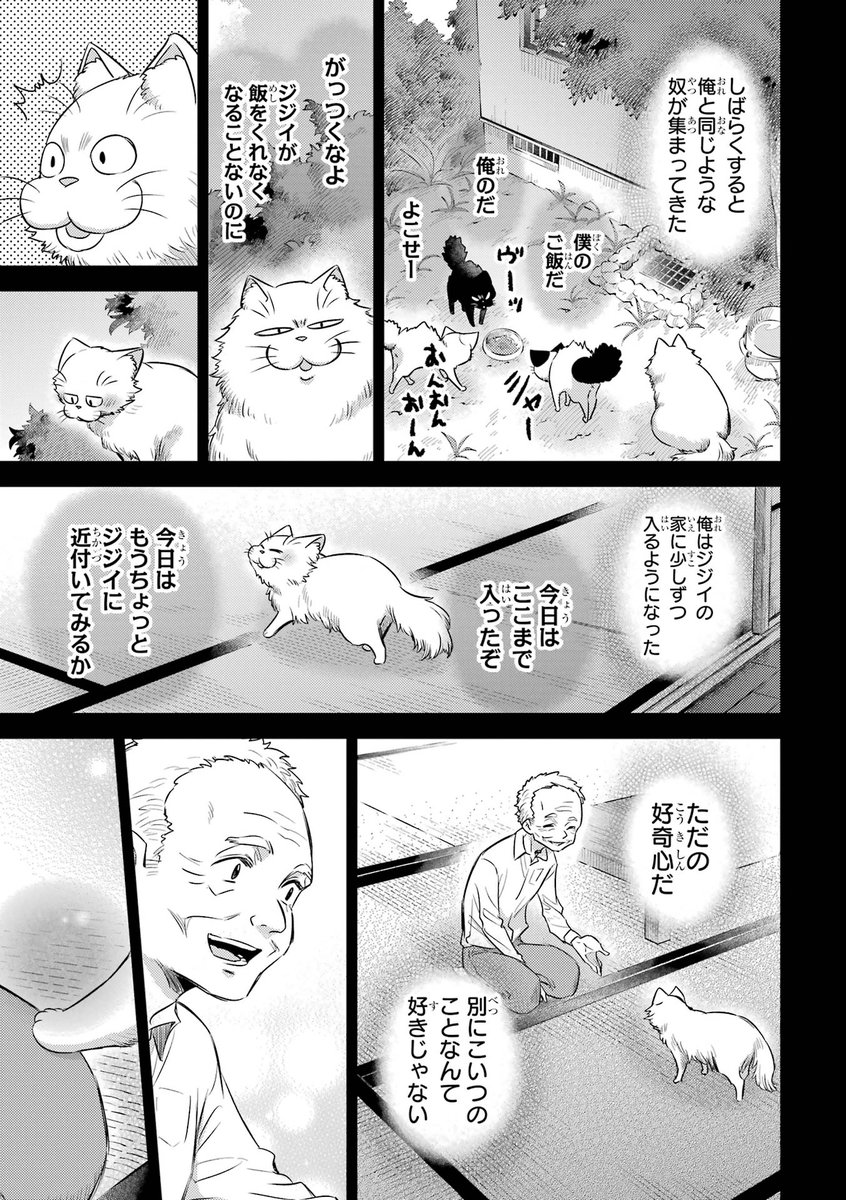 来客がくると姿を消す猫たち(6/7) 