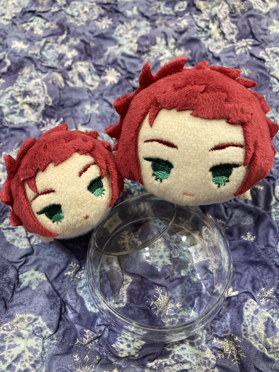 ミトヤ tweet media