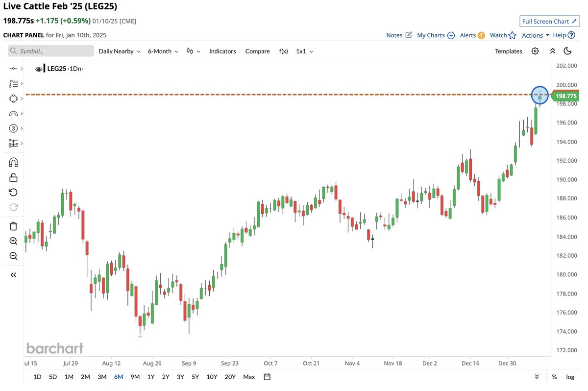 Cattle Price hits a new all-time high 🐂📈🚨