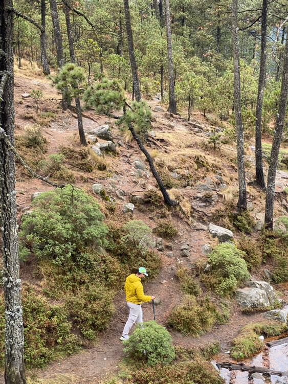 tomasalejandroj's tweet photo. Caminante sin camino. https://t.co/qDWEusavwh