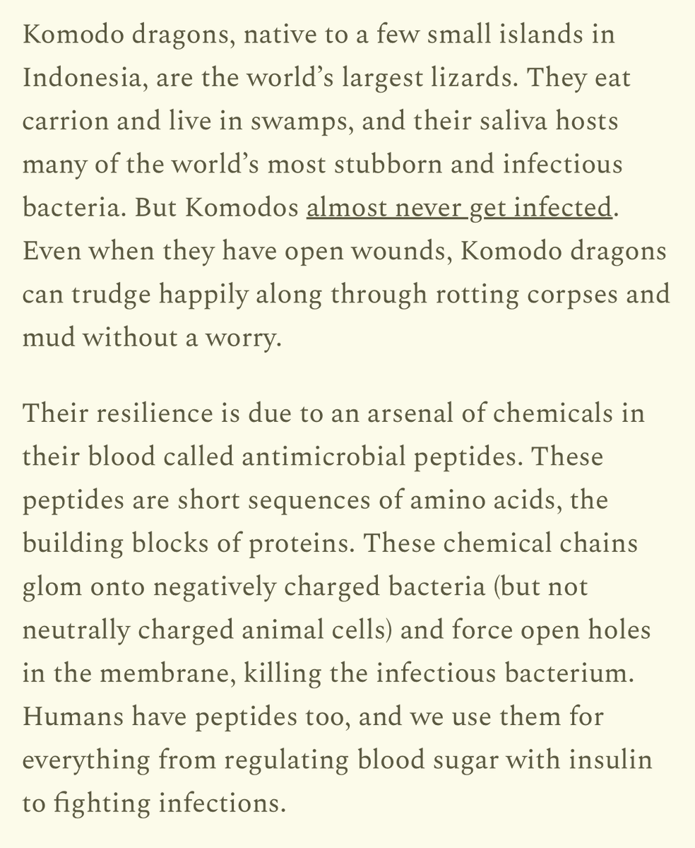 Ozempic (semaglutide) is a synthetic version of a hormone found in Gila monster venom.

The most promising solution to antibiotic resistance comes from the antimicrobial peptides in Komodo dragon blood.

Maybe some of those weird-sounding NSF/NIH grants are useful after all...