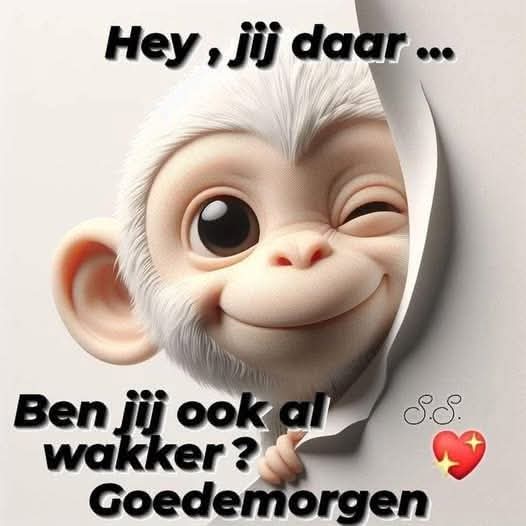 Goedemorgen lieverds