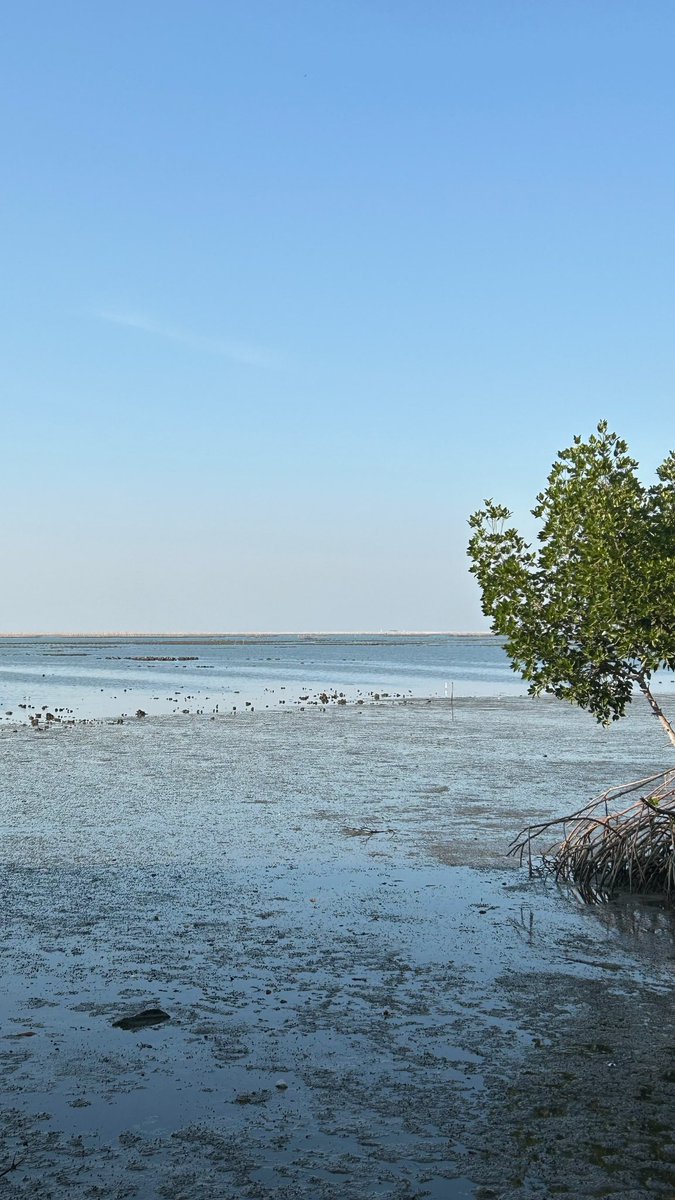 Setiap manusia punya rahasia dukanya sendiri, yang hanya dia yang tahu. Seringkali, kita menyebutnya orang yang dingin. Padahal hati dan pikirannya mendidih karena rasa sakit.