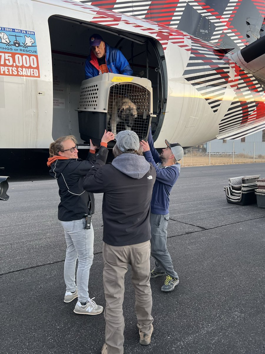 bestfriends's tweet photo. The 58 cats and 26 dogs have officially landed in Kanab! ✈️
 
After their multi-state travel day, all babies are now getting tucked in for the night at our Sanctuary after having a nice meal and lots of love and snuggles from our caregivers. https://t.co/8LHLG3uAFu