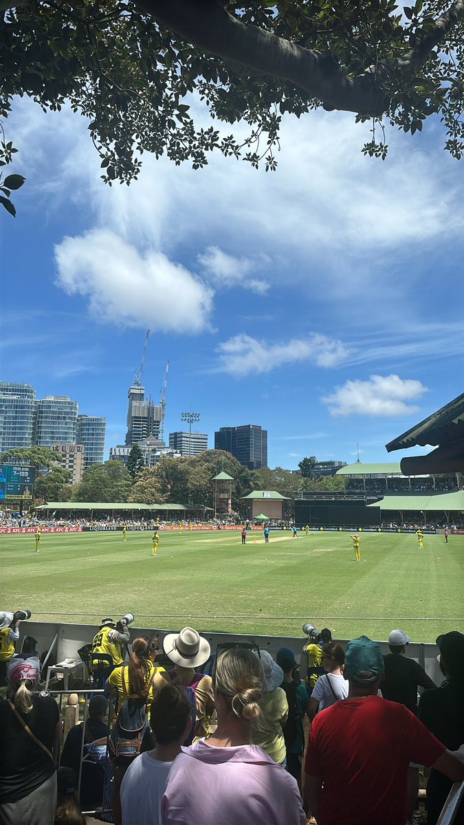 North Sydney Oval is something else 😍