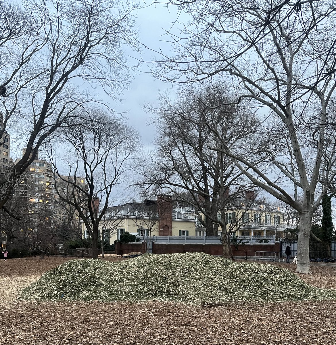 sheesheroni's tweet photo. need to roll these christmas tree wood chips into a blunt and blow the smoke in eric adams face https://t.co/YKpgJL1GLY
