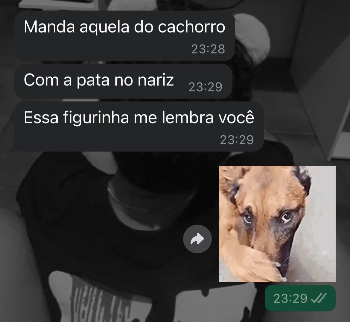 anao 🧛‍♀️🍦 tweet media