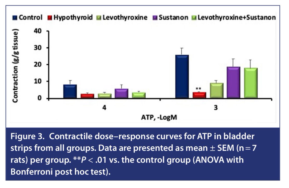 TurkJUrol's tweet photo. The Impact of Levothyroxine and Testosterone Administration on Bladder Contractility in the Rat Model of Propylthiouracil-Induced Hypothyroidism
Didem Yılmaz Oral et al.
#hypothyroidism #levothyroxine #testosterone #urinarybladder
Article Link :
https://t.co/Qm1tTTdfG6 https://t.co/9lOgCxCSZl