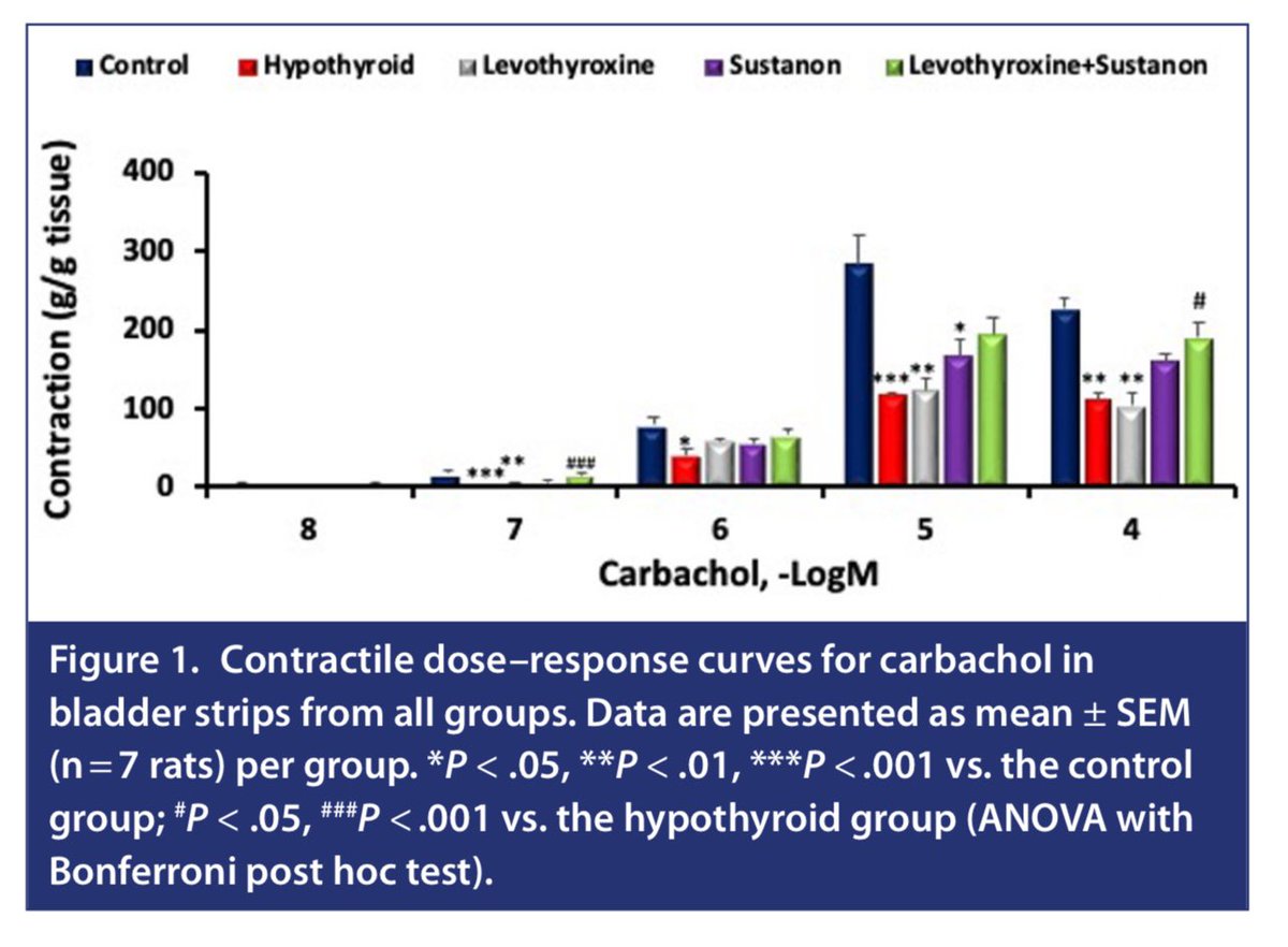TurkJUrol's tweet photo. The Impact of Levothyroxine and Testosterone Administration on Bladder Contractility in the Rat Model of Propylthiouracil-Induced Hypothyroidism
Didem Yılmaz Oral et al.
#hypothyroidism #levothyroxine #testosterone #urinarybladder
Article Link :
https://t.co/Qm1tTTdfG6 https://t.co/9lOgCxCSZl