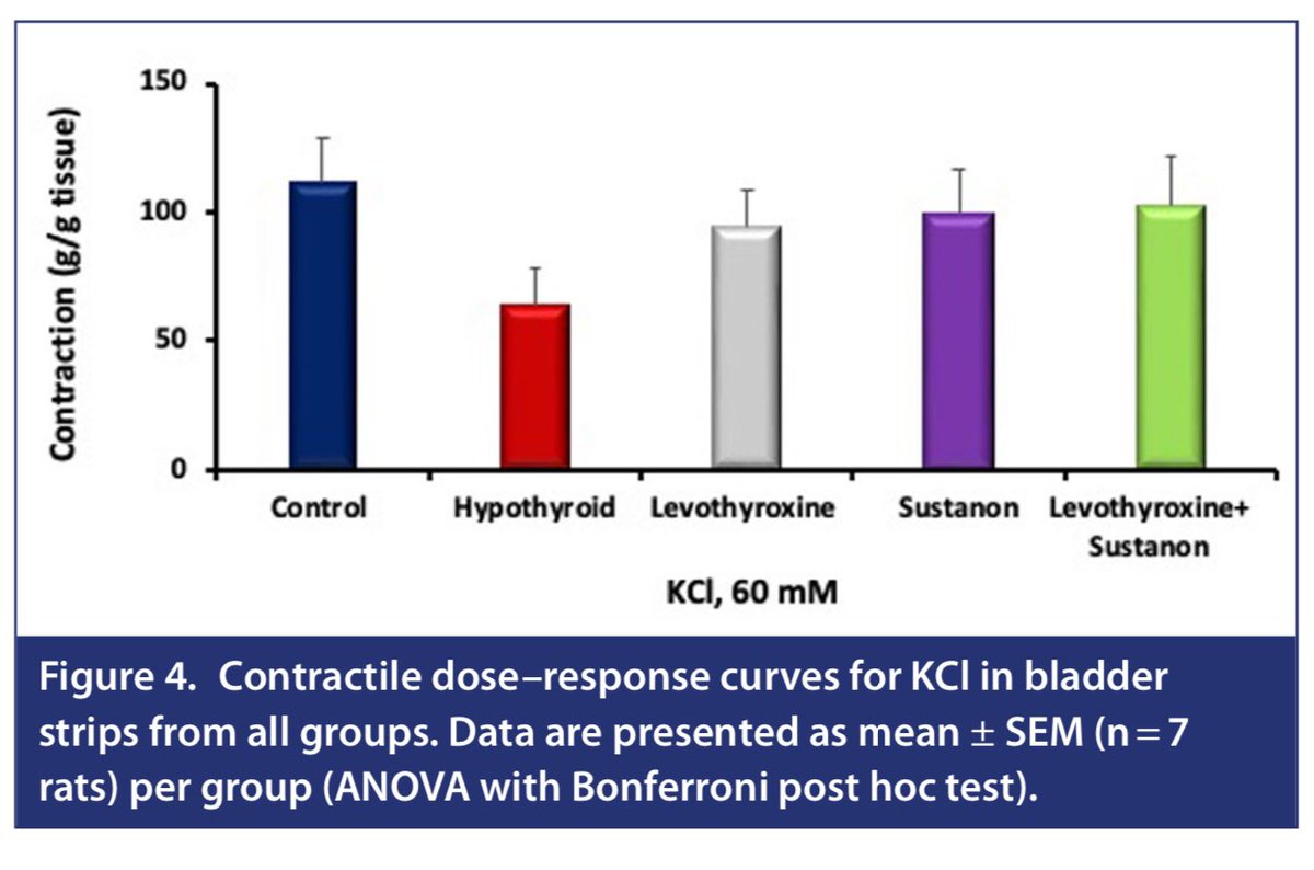 TurkJUrol's tweet photo. The Impact of Levothyroxine and Testosterone Administration on Bladder Contractility in the Rat Model of Propylthiouracil-Induced Hypothyroidism
Didem Yılmaz Oral et al.
#hypothyroidism #levothyroxine #testosterone #urinarybladder
Article Link :
https://t.co/Qm1tTTdfG6 https://t.co/9lOgCxCSZl