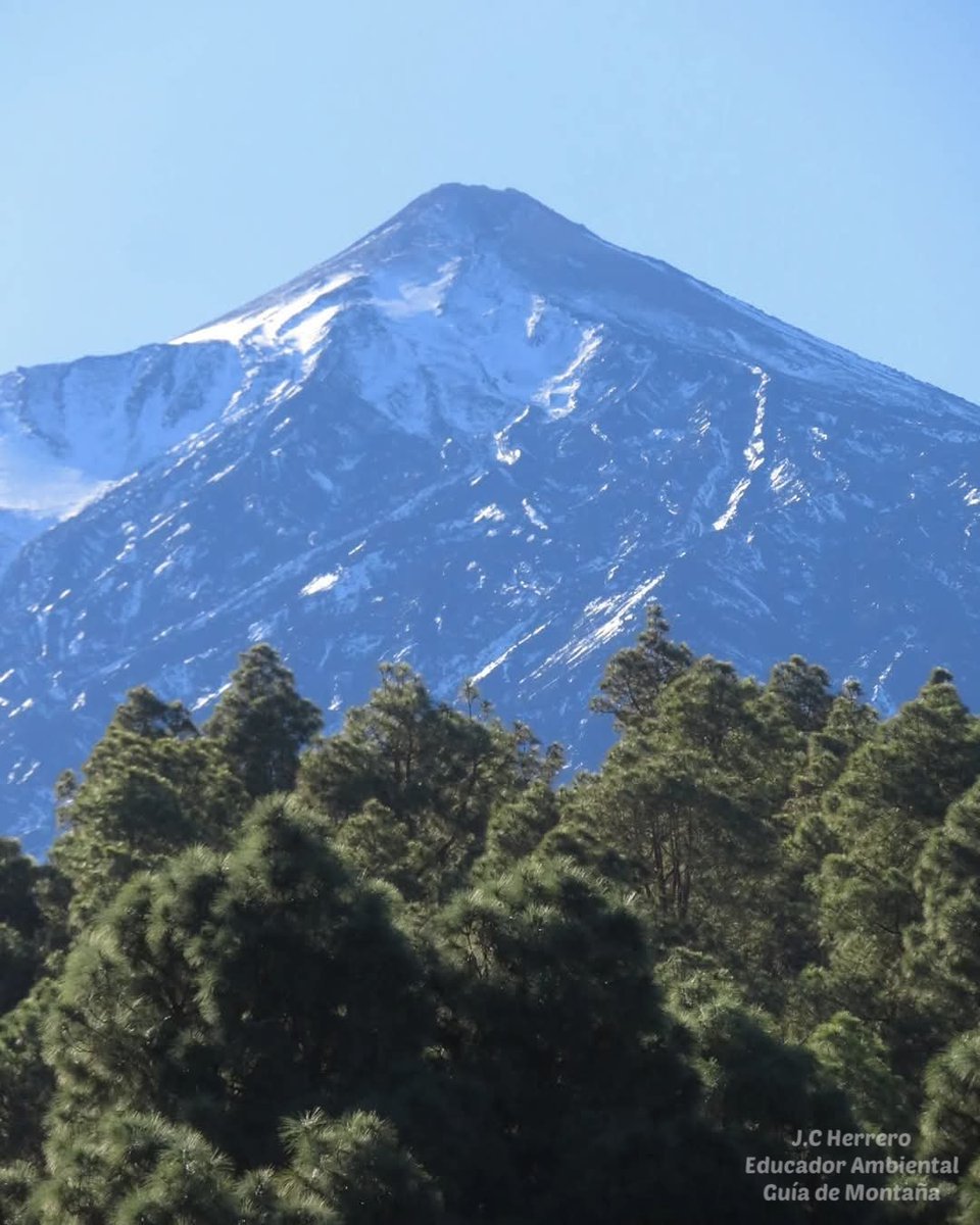 Ayer en nuestra ruta 👣🎒🥾 por el Parque Natural de La Corona Forestal pudimos contemplar esta imagen 🏔 del Pico Teide 💚 emoción a raudales tras esta imagen, el Teide no es sólo una "Montaña" 👇