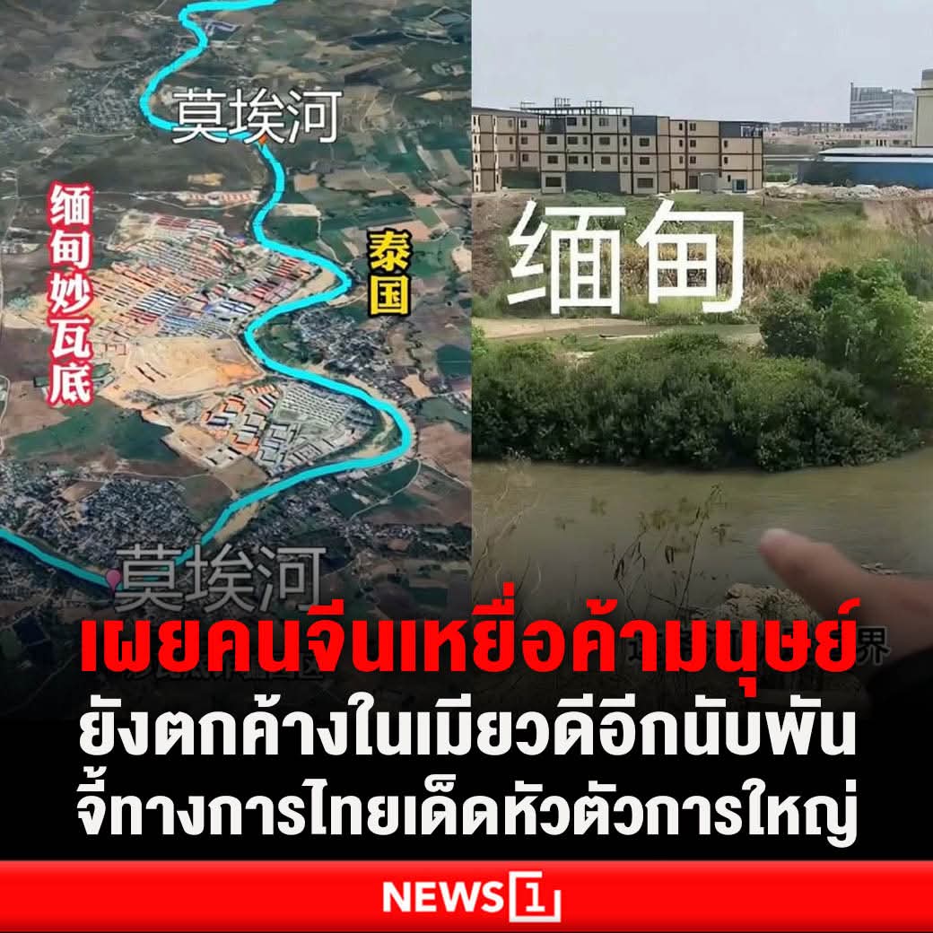 chasing tyrant(ขุดมันขึ้นมาแฉ) tweet media