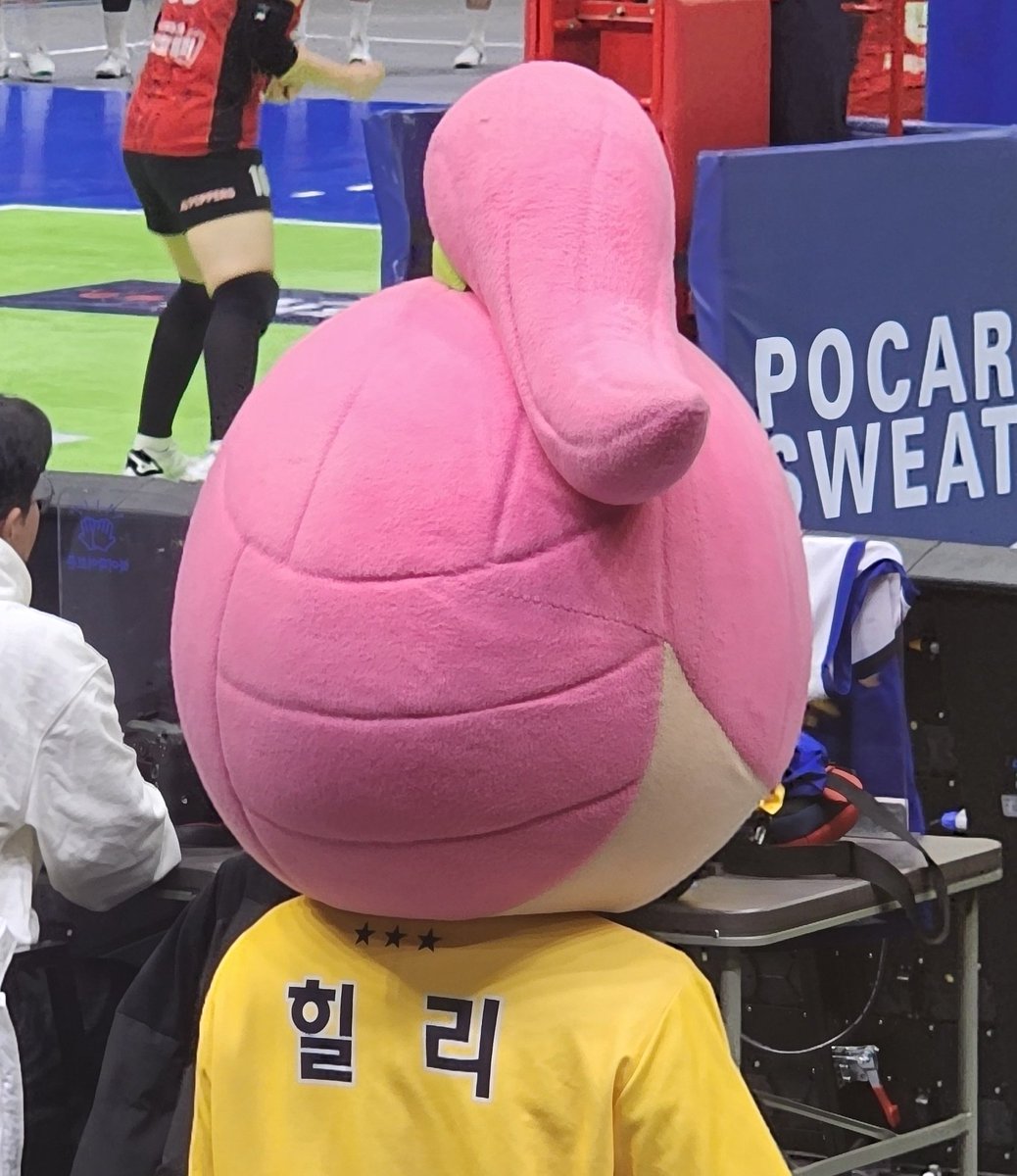 얘 테리 아닌가? 머리바뀜

HOME START CLIMB TO TOP
#HDECxSuwonGymnasium42