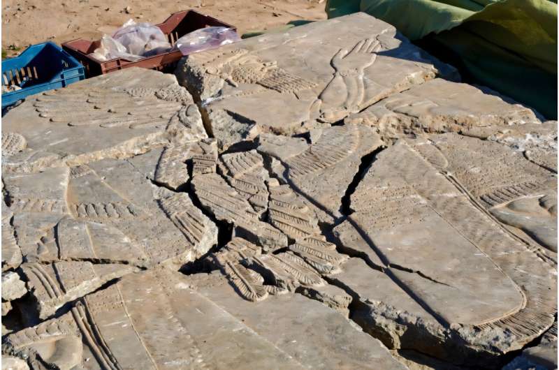 ⭕️ Iraqi archaeologists piece together ancient treasures ravaged by IS. A decade after jihadists ransacked Iraq's famed Nimrud site, archaeologists have been painstakingly putting together its ...
ℹ️ phys.org/news/2025-01-i…