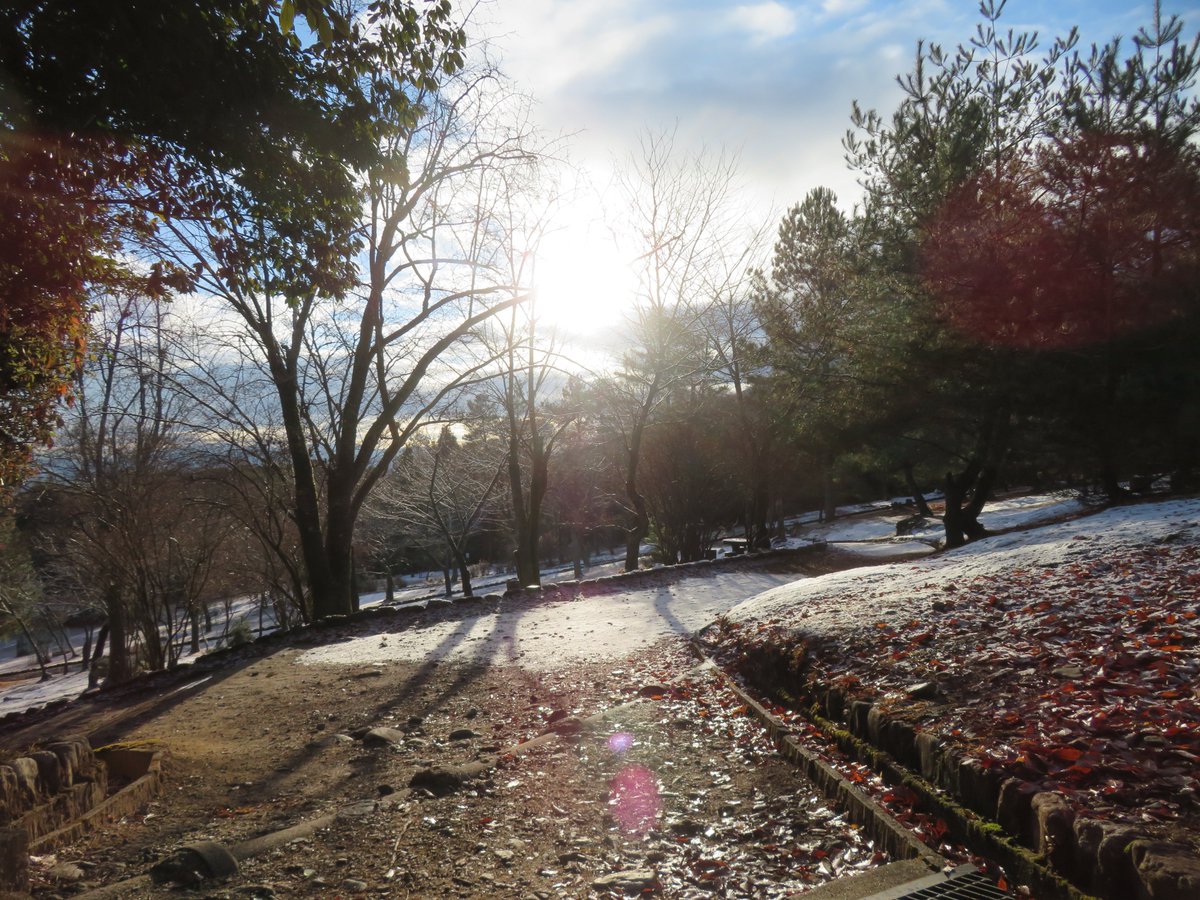 hitomihcx's tweet photo. Kameyama Park/亀山公園/2025.01.11
#Kyoto #京都 #arashiyama #嵐山
#sagano #嵯峨野
#sagaarashiyama #嵯峨嵐山
#KameyamaPark #亀山公園
#ArashiyamaPark #嵐山公園
#NearbyPark #近所の公園
#ObservationPlatform #展望台
#snow #雪 https://t.co/jHeE9RoTbJ