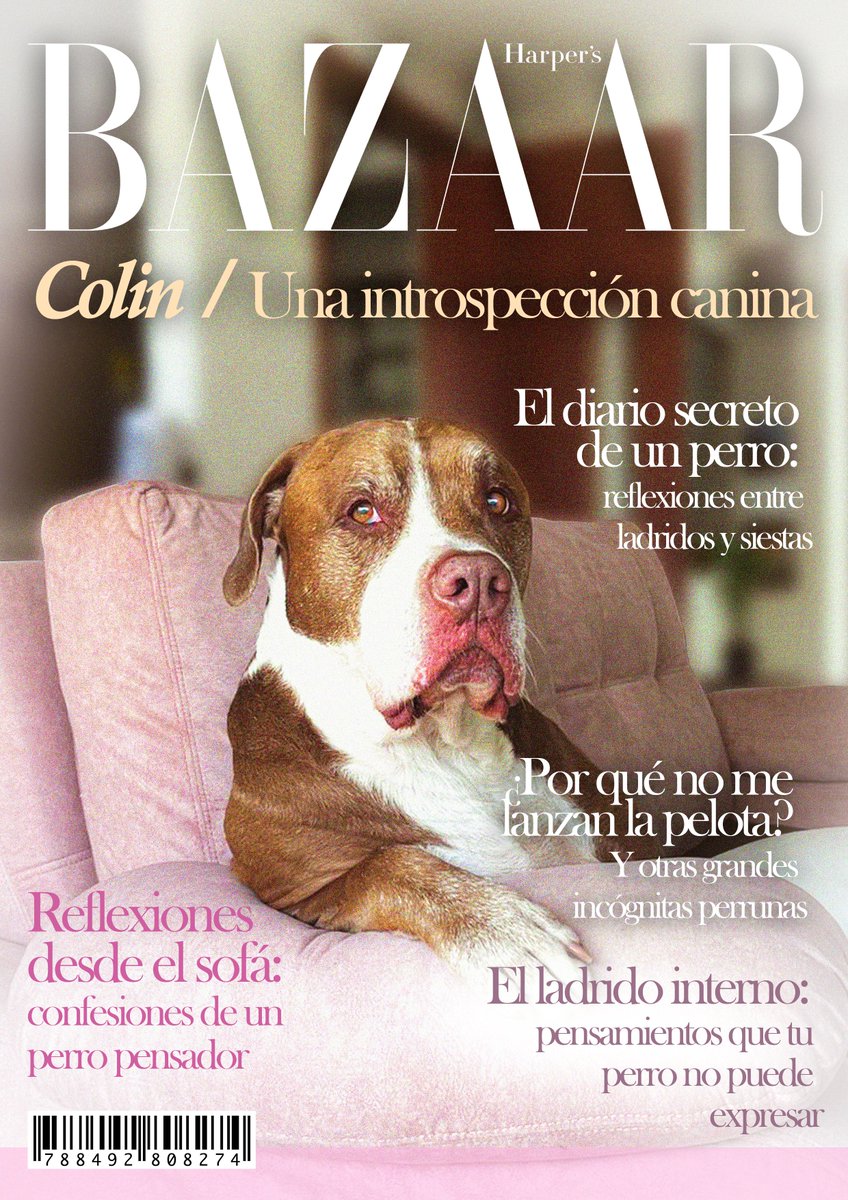 ZTBASTIAN's tweet image. Este mes, nuestra portada tiene un protagonista único: Colin, un carismático pitbull que nos demuestra que los perros también tienen estilo, corazón y muchas historias por contar. 🐶✨#BAZAARxColin #PitbullPower #EdiciónEspecial #DogLovers #PerrosConEstilo
