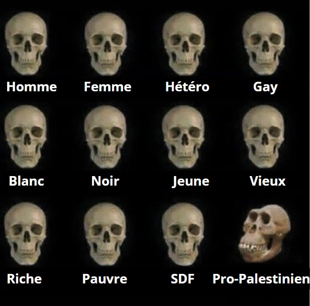 MOUTIN Philippe tweet media