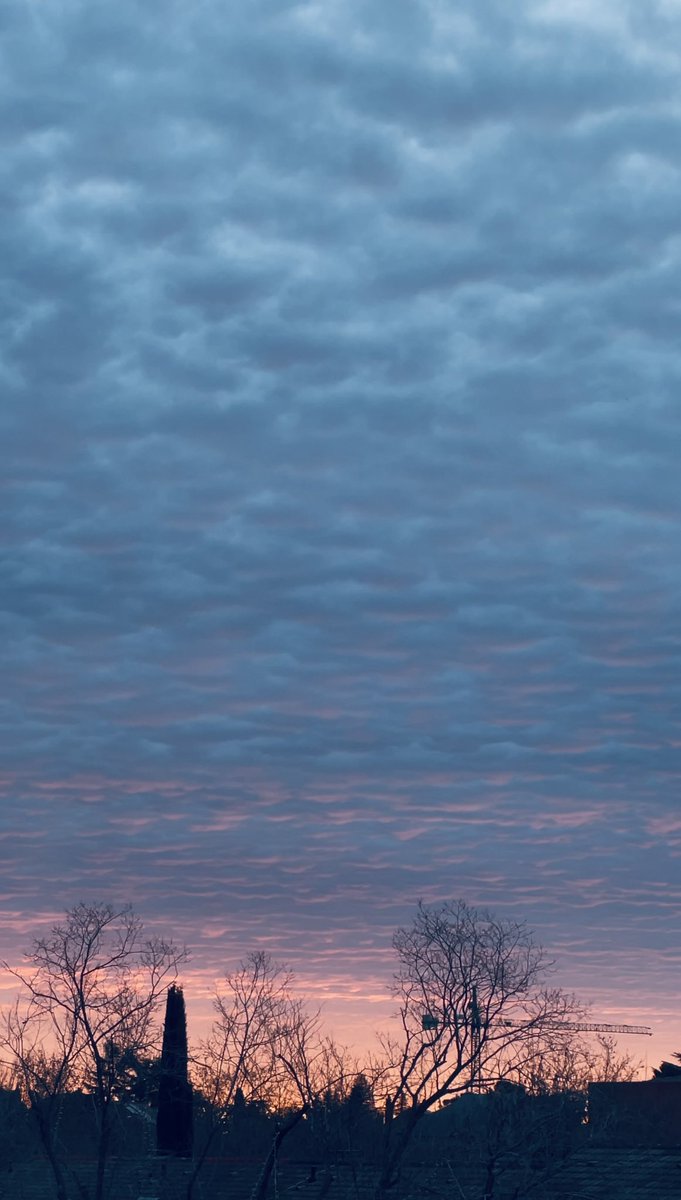 Jesús RomerCan tweet media