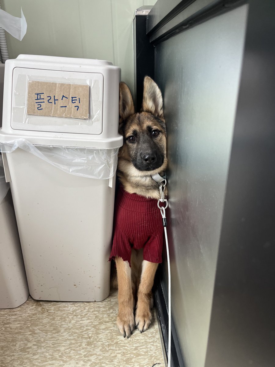 약밥이 tweet media