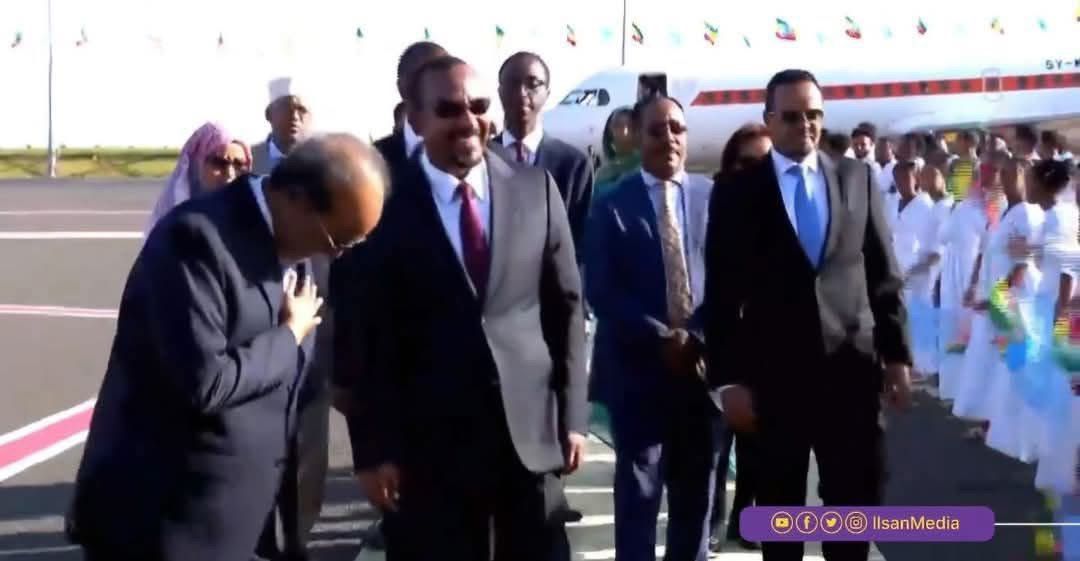 Ethiopia, Kenya, iyo Masar waxay u arkaan madaxweynaha Soomaaliya HSM inuu yahay "fursad-doon siyaasadeed" halkii uu ahaan lahaa waddani Soomaali ah oo u adeegaya danta shacabka Soomaaliyeed.