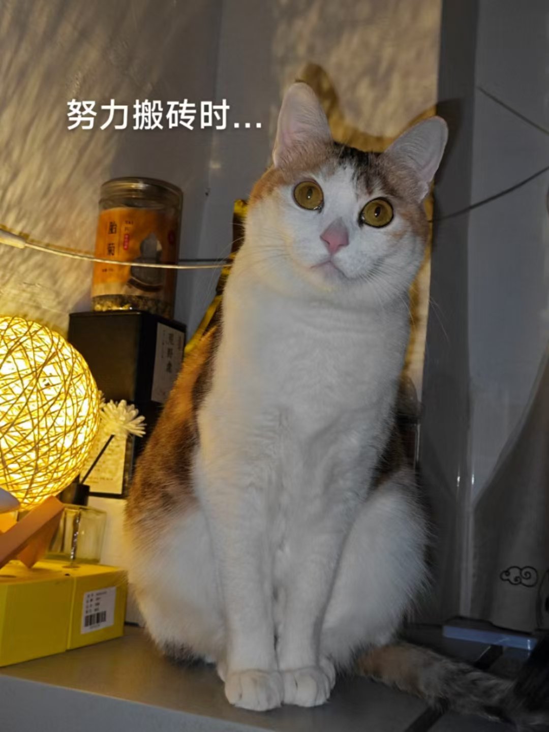 世界的に 哎呦小尾巴on X:  ピンズ・ピンバッジ・缶バッジ