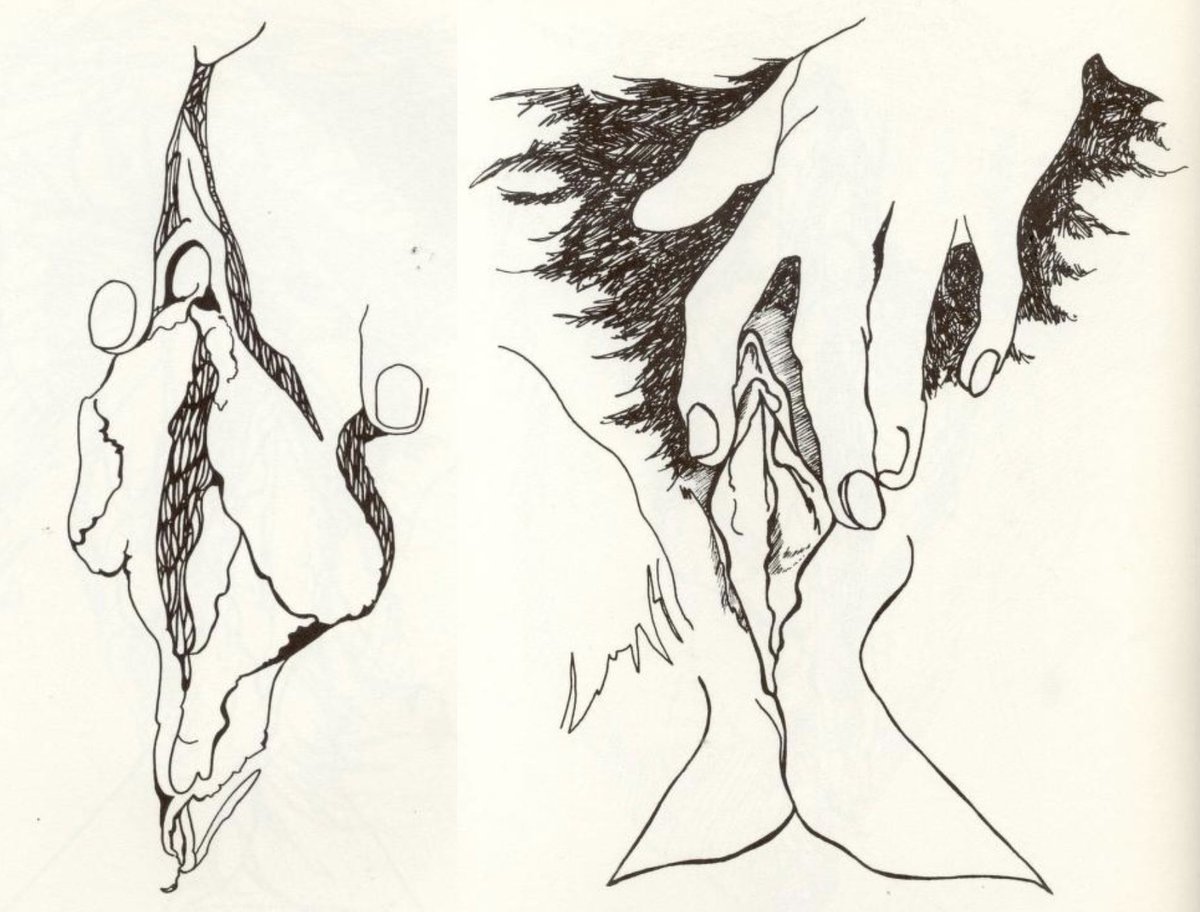 THE CUNT COLORING BOOK (1975). By artist/activist Tee Corinne. "The drawings in this book are of real woman's cunts," it says in the introduction, and I've decided to believe it. 