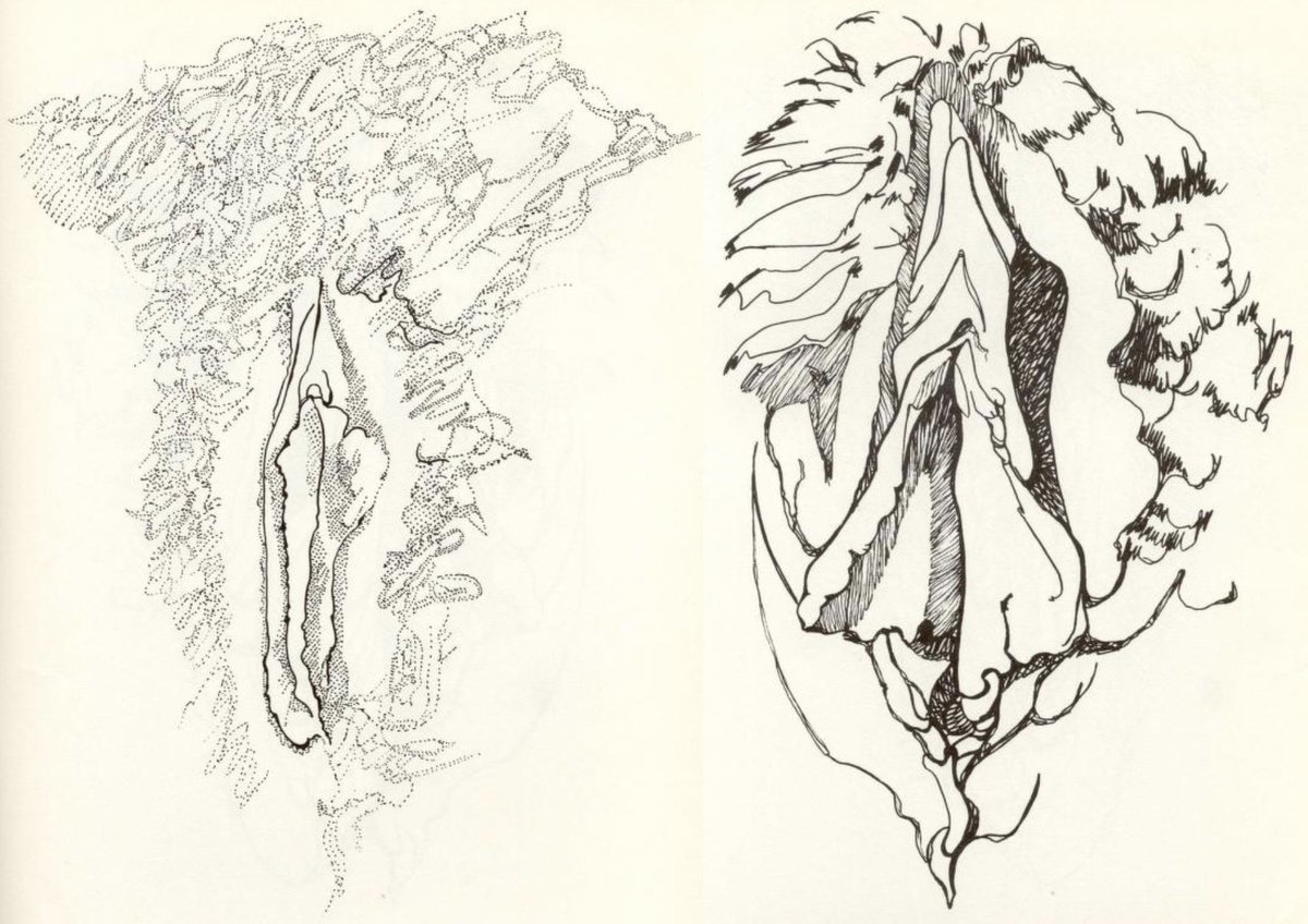 THE CUNT COLORING BOOK (1975). By artist/activist Tee Corinne. "The drawings in this book are of real woman's cunts," it says in the introduction, and I've decided to believe it. 